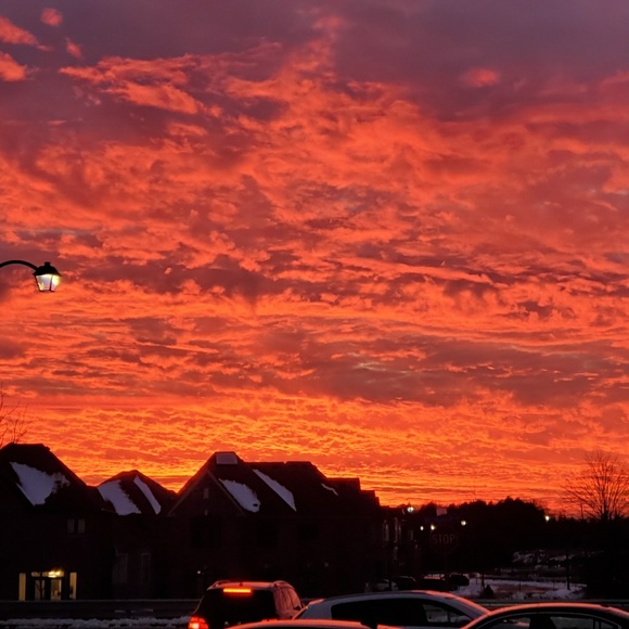 Meet your Posher, Genna - Picture 1 of 1